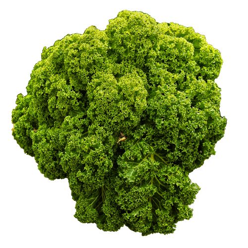 Curly Kale Per Bag
