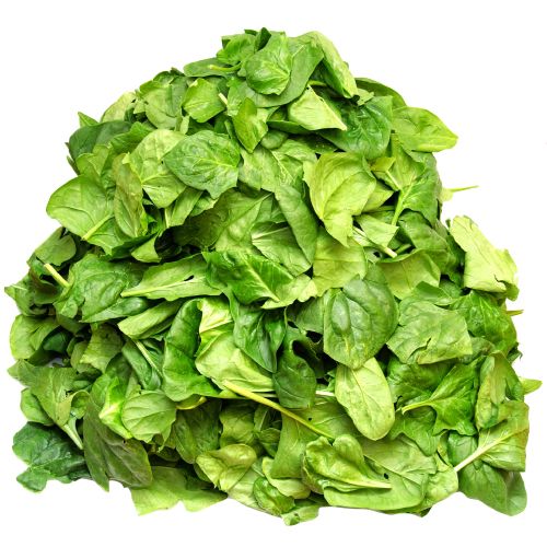 Spinach Class 1 Spain