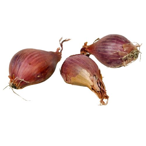 Onions Shallot Loose
